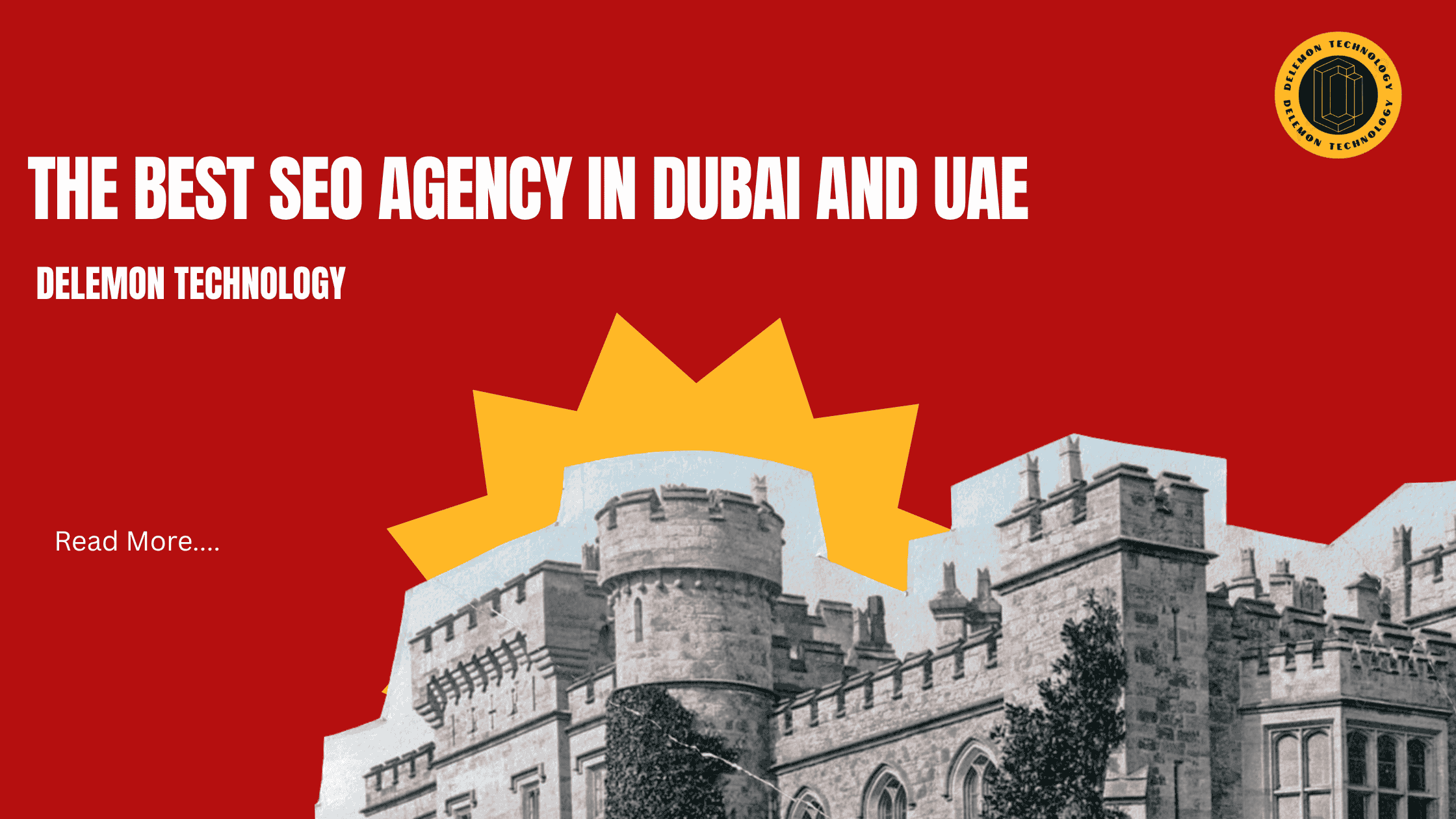 The Best SEO Agency in Dubai and UAE : Delemon Technology